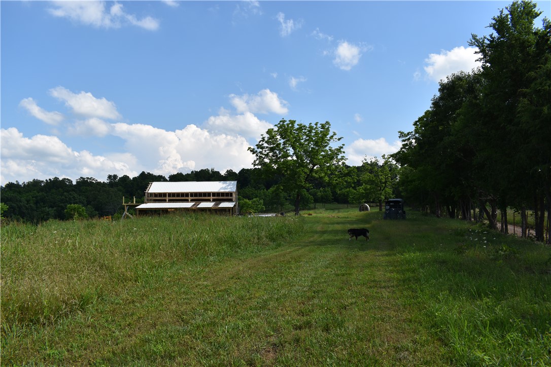 Image 12