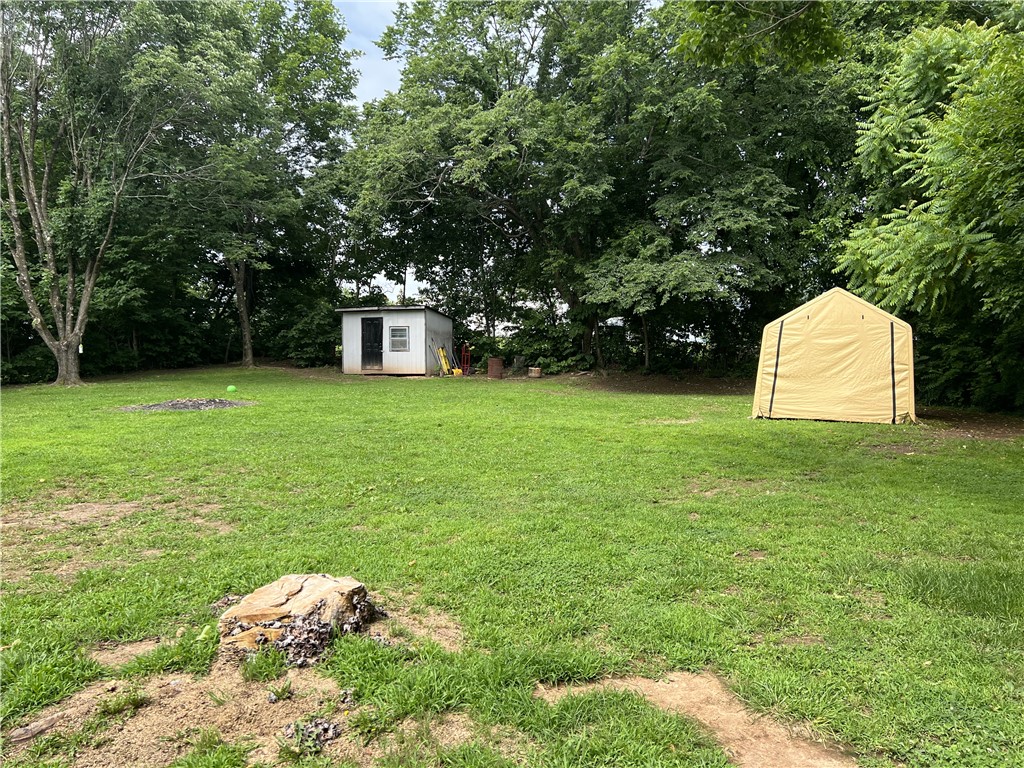Image 19