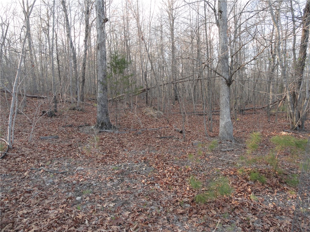 Image 19