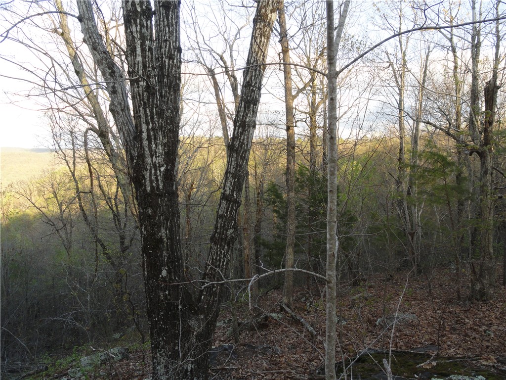 Image 21