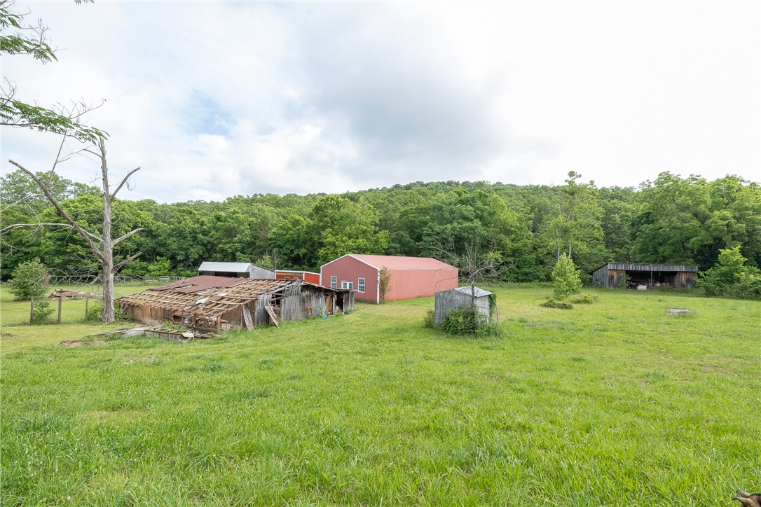 Image 11