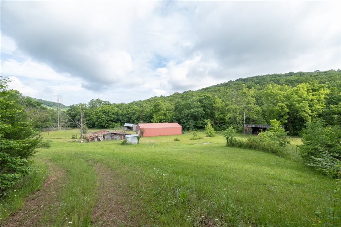 Image 12