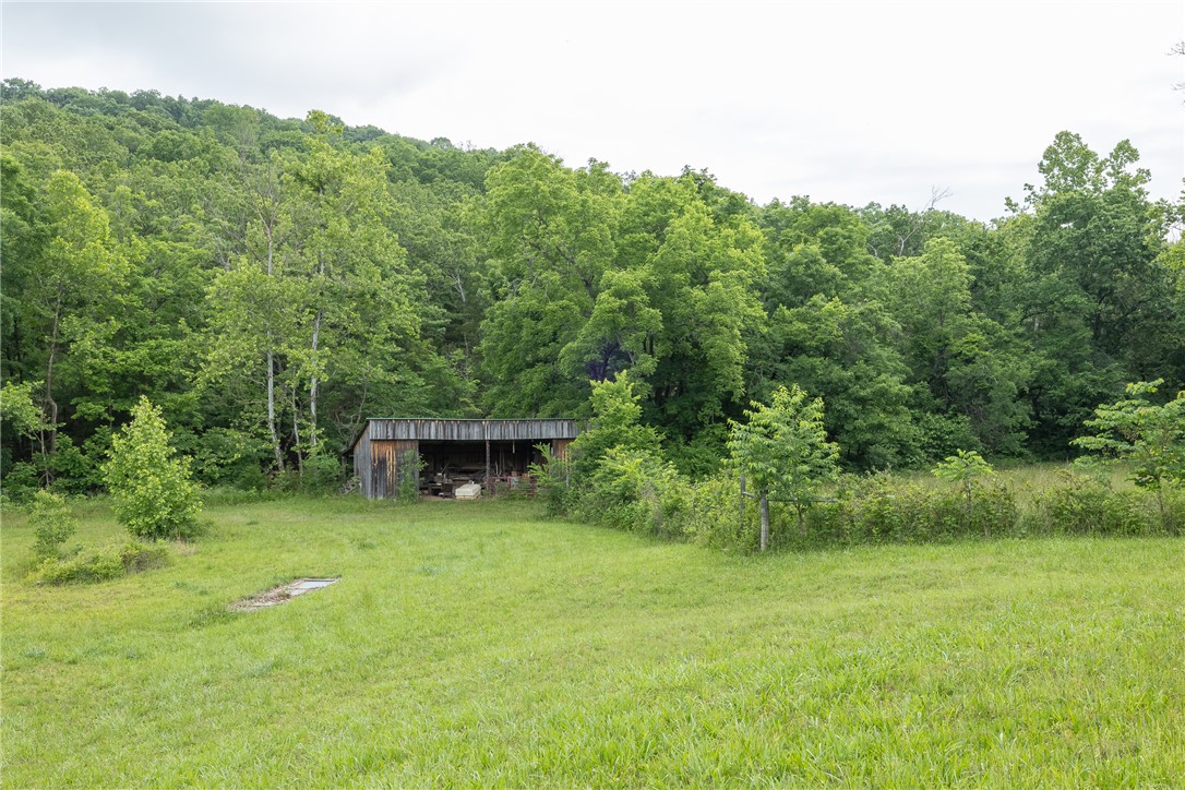 Image 15