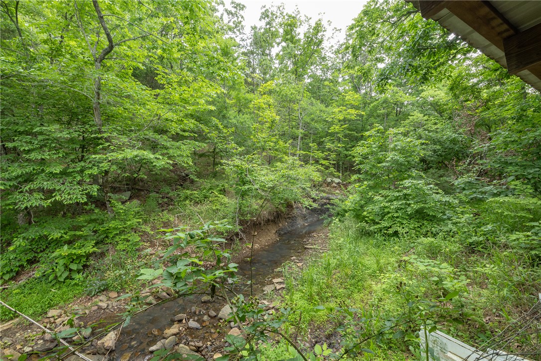 Image 20