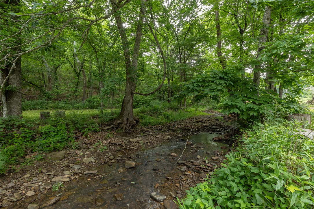 Image 25