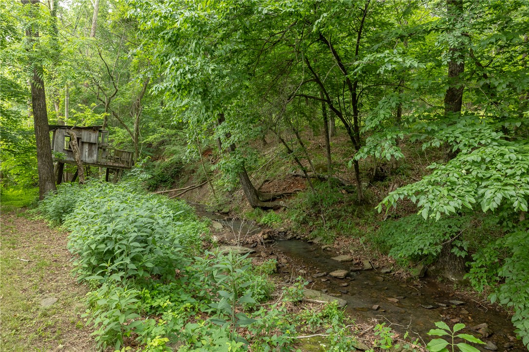 Image 30