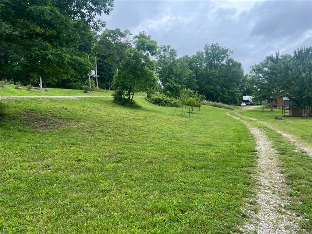 Image 12