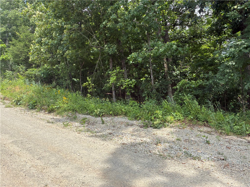Image 6