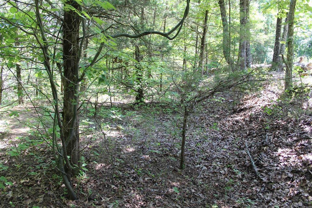 Image 13