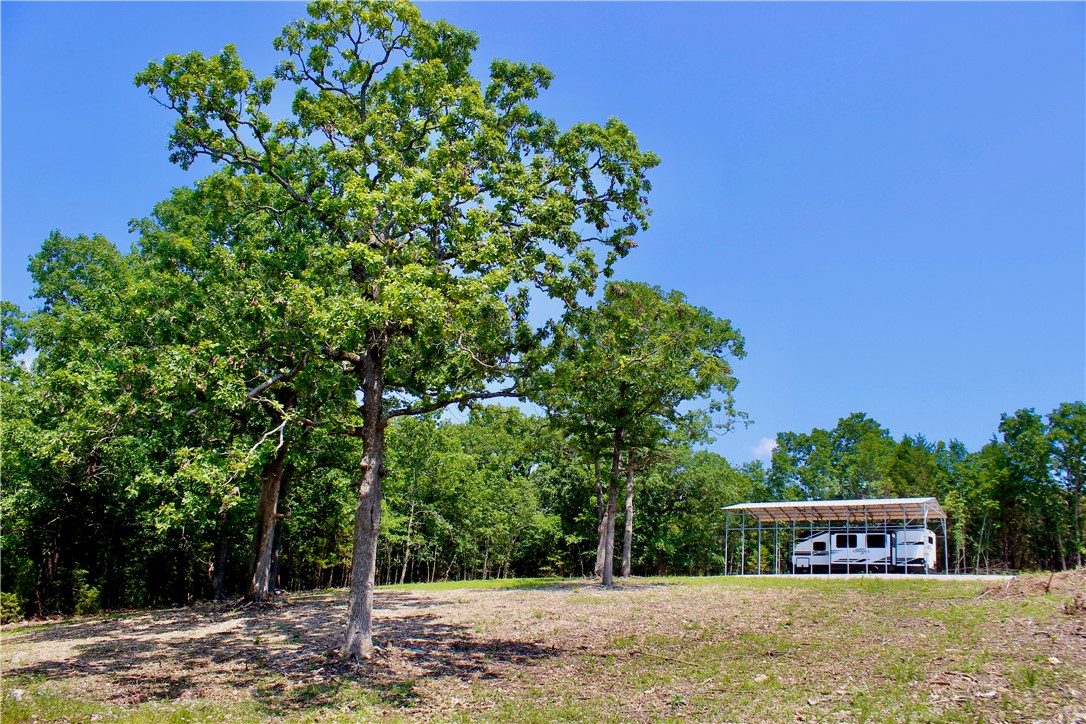 Image 15