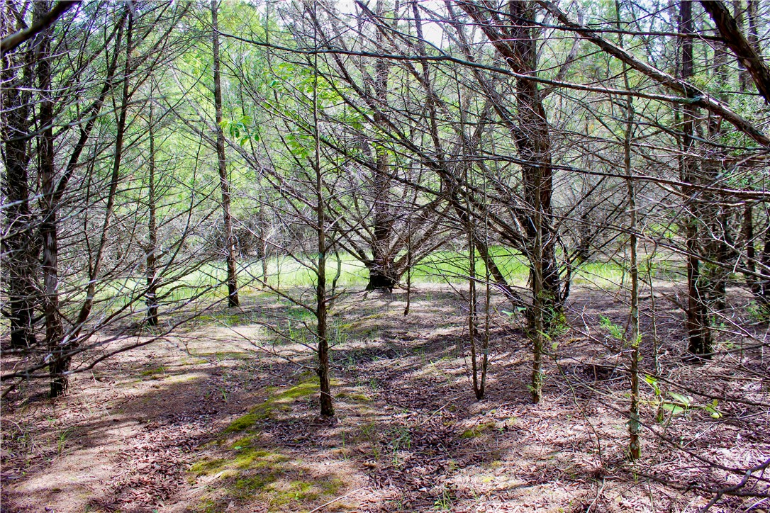 Image 53