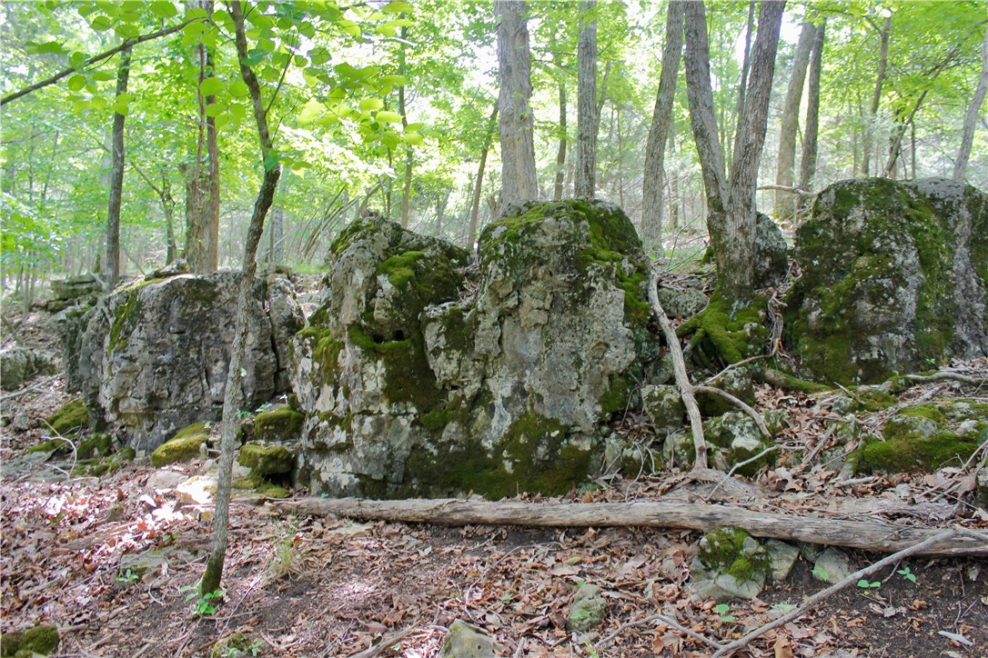 Image 55