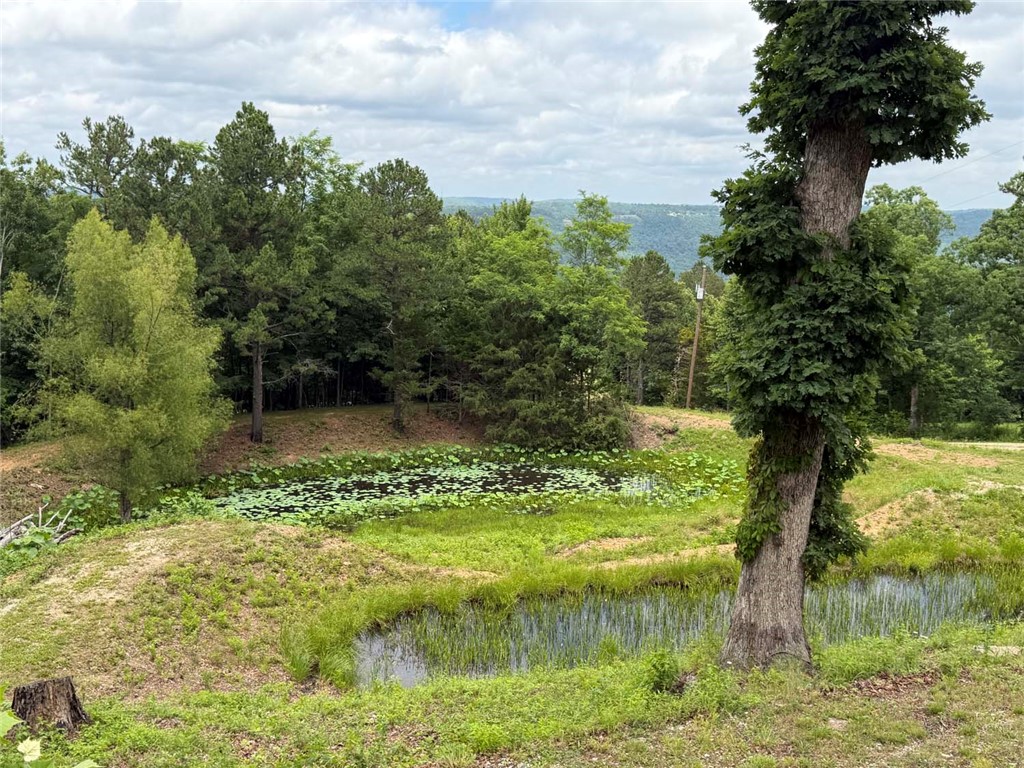 Image 12