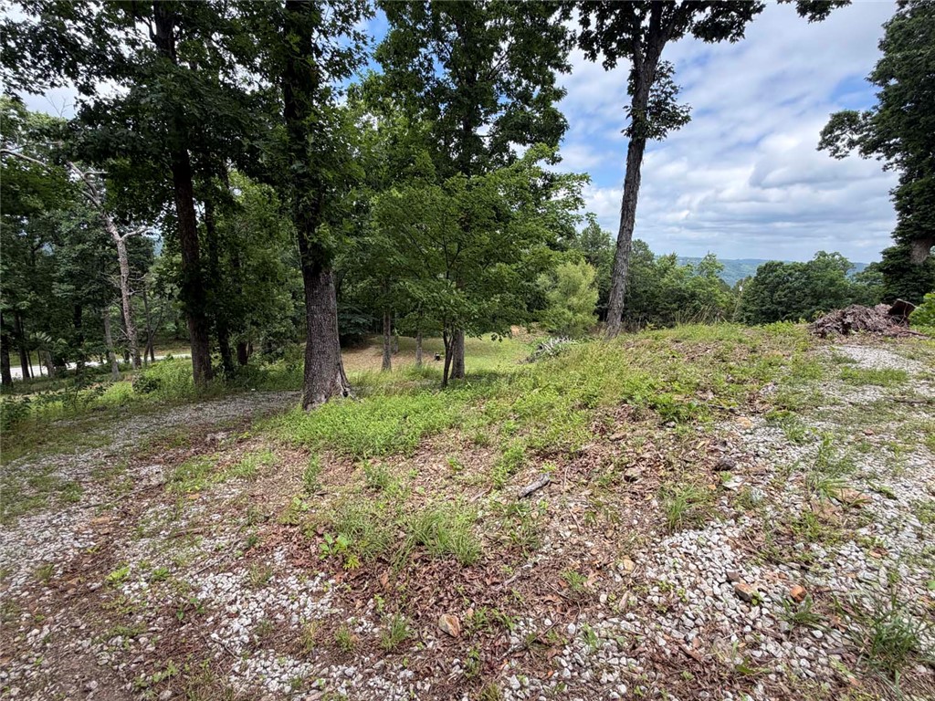 Image 14