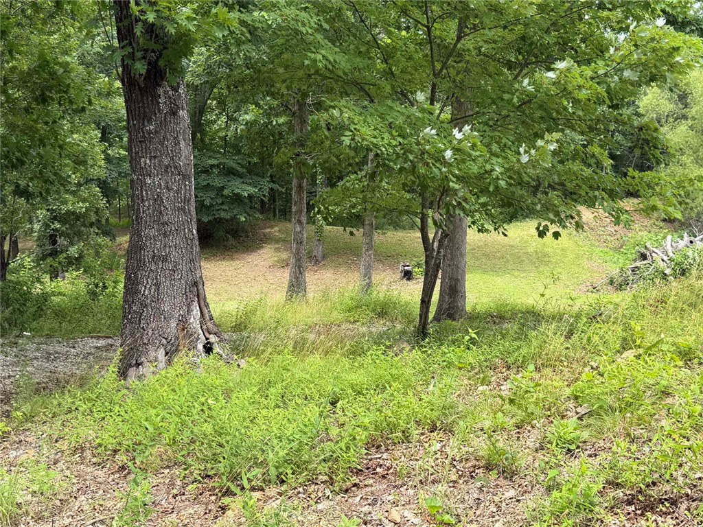 Image 15