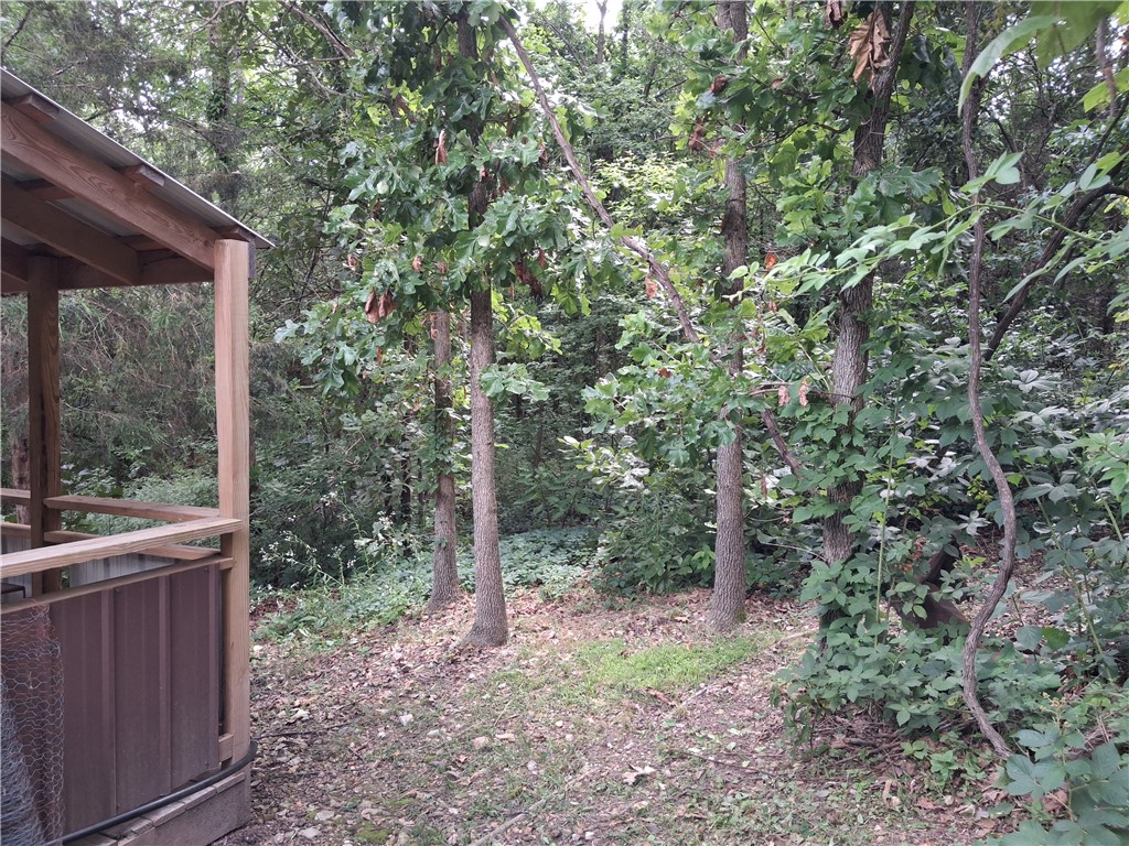 Image 8