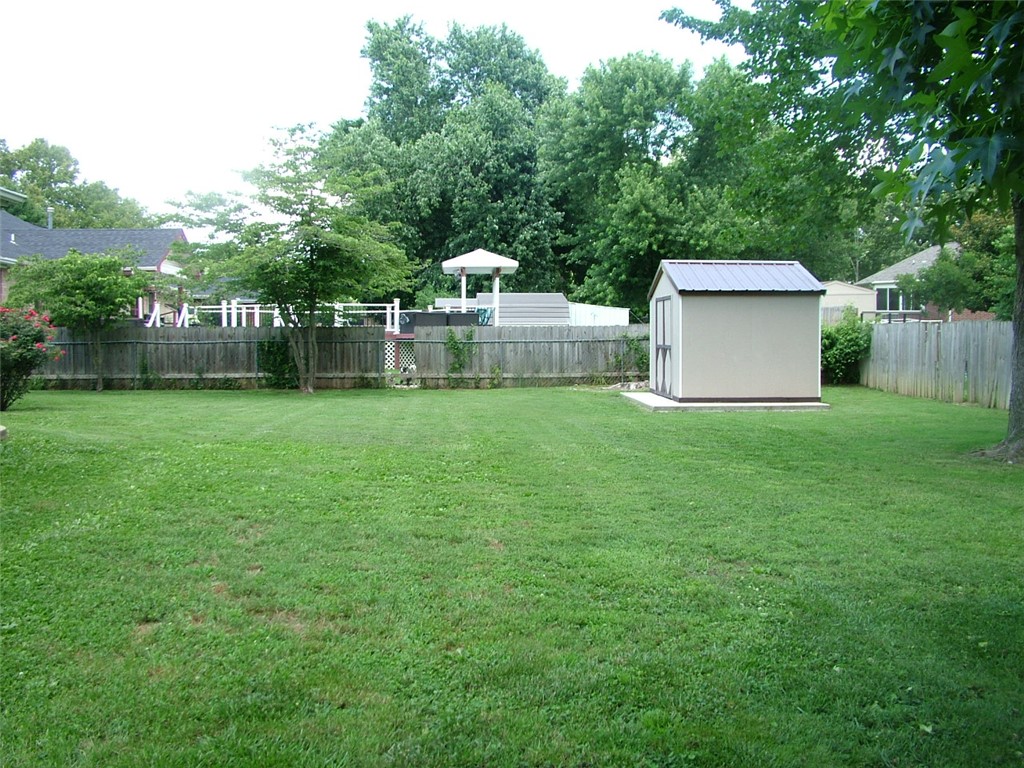 Image 19