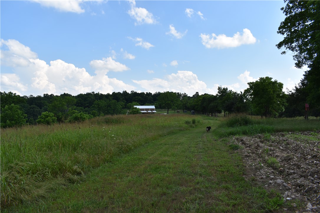 Image 12