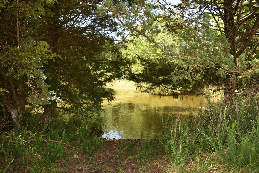 Image 13