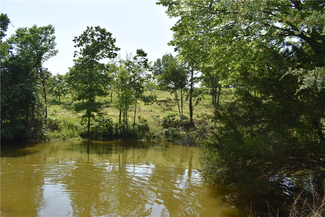 Image 15
