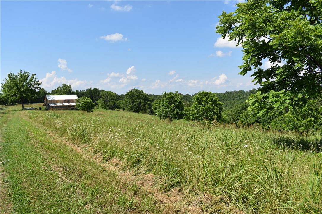 Image 19