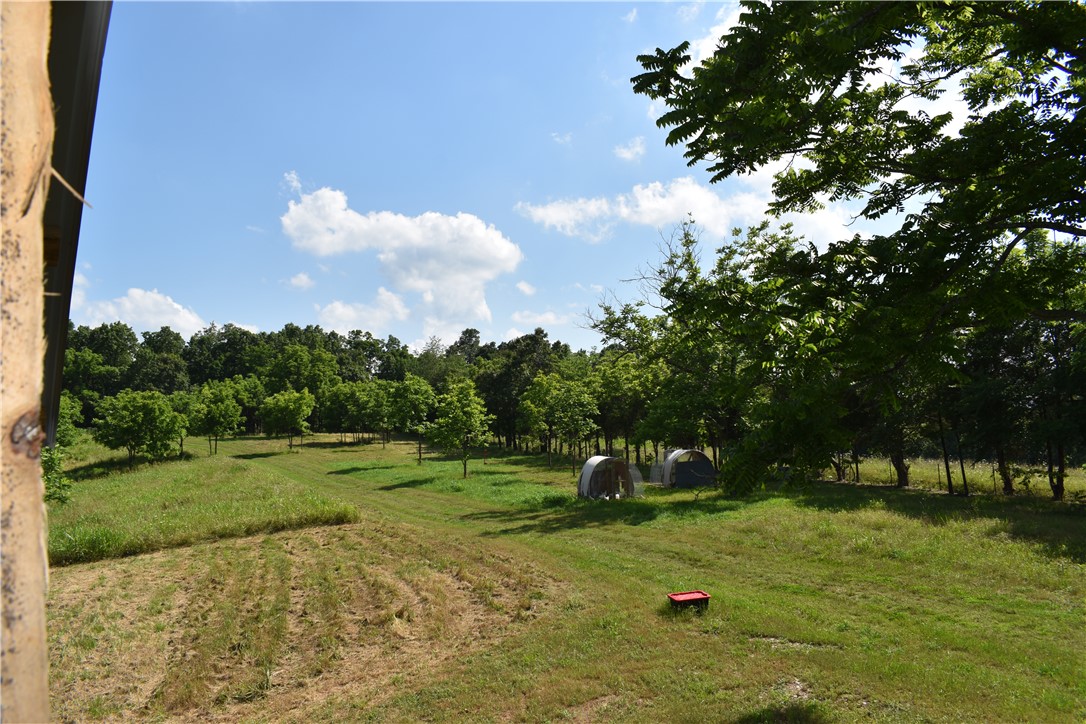 Image 28