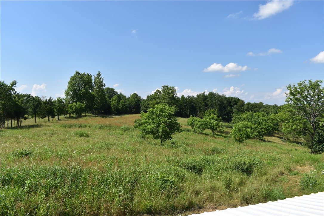 Image 30