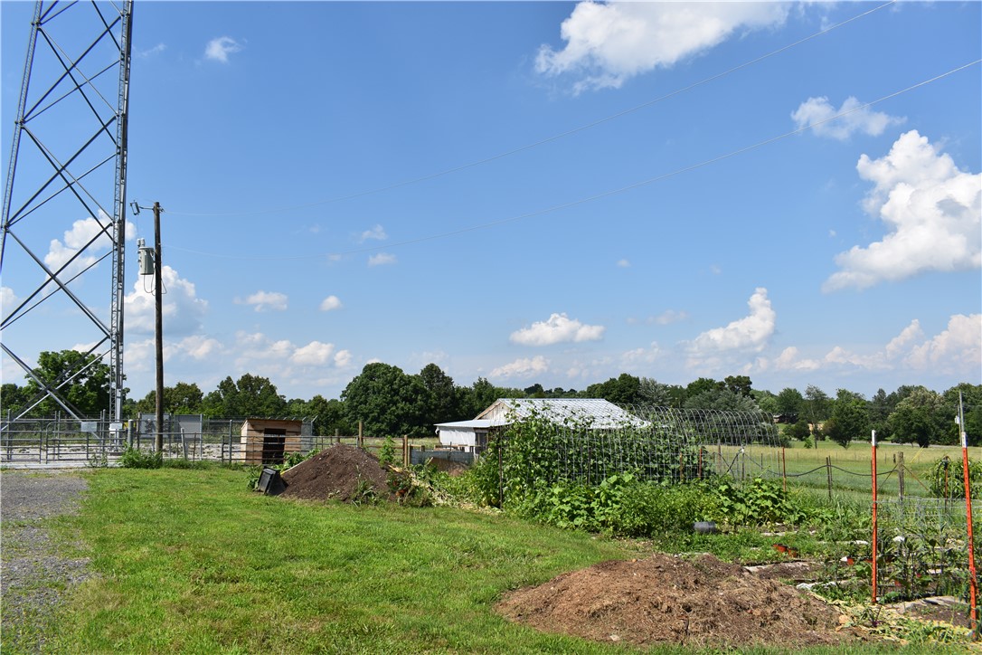 Image 33