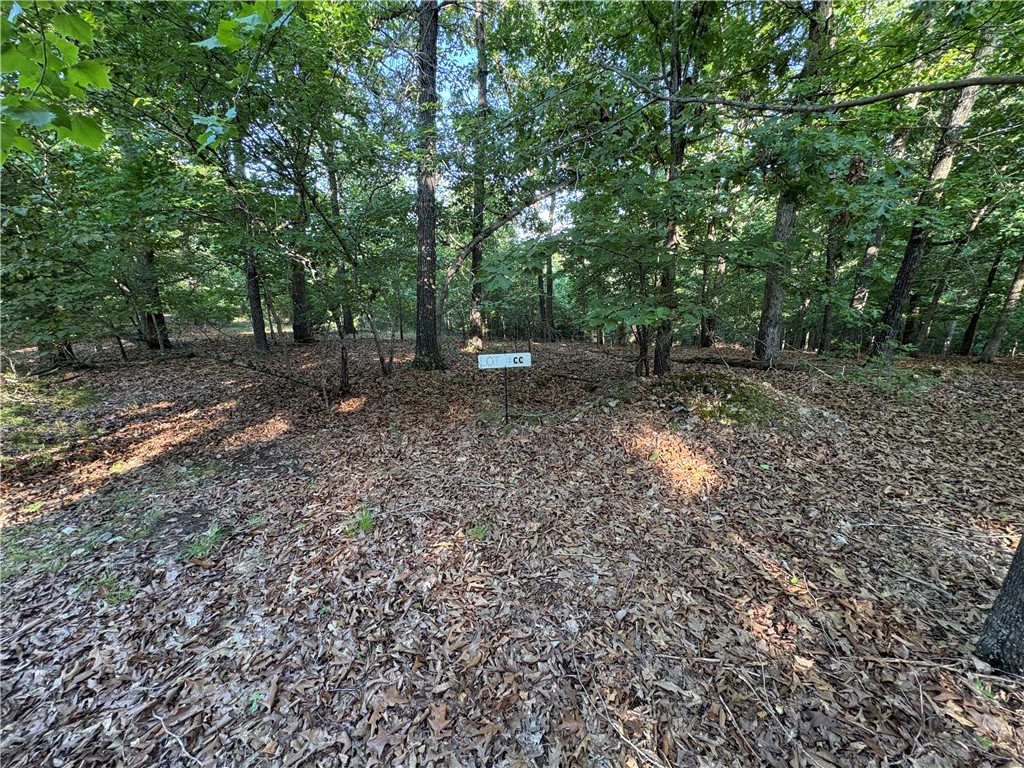 Image 9