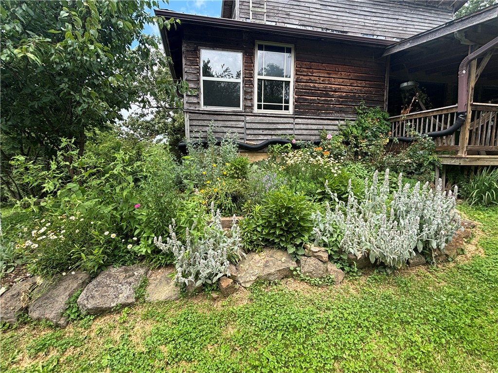 Image 15
