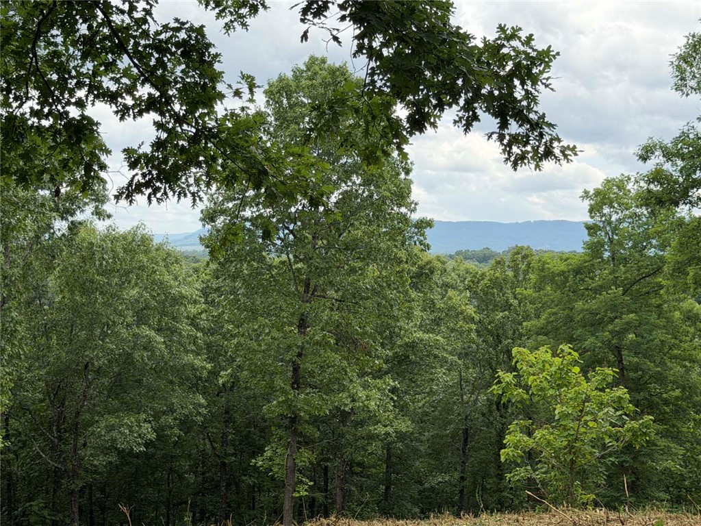 Image 13