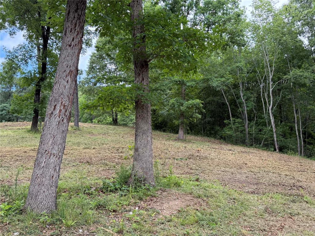 Image 14