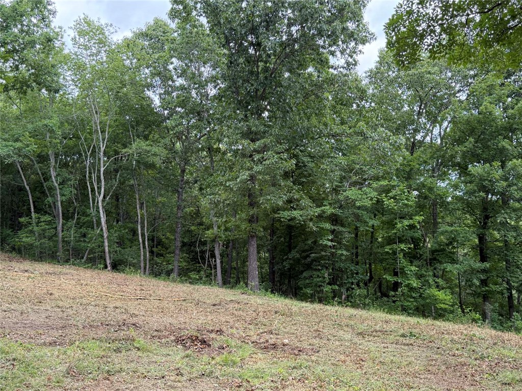 Image 15