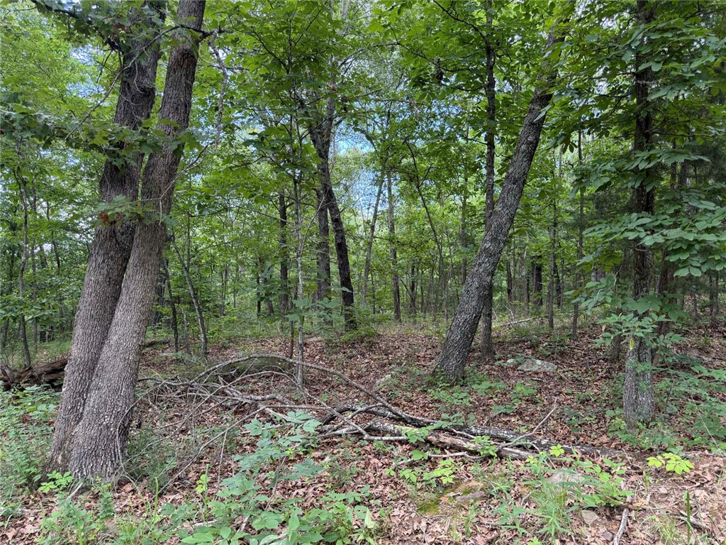 Image 17