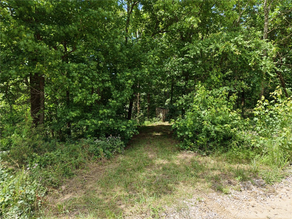 Image 18