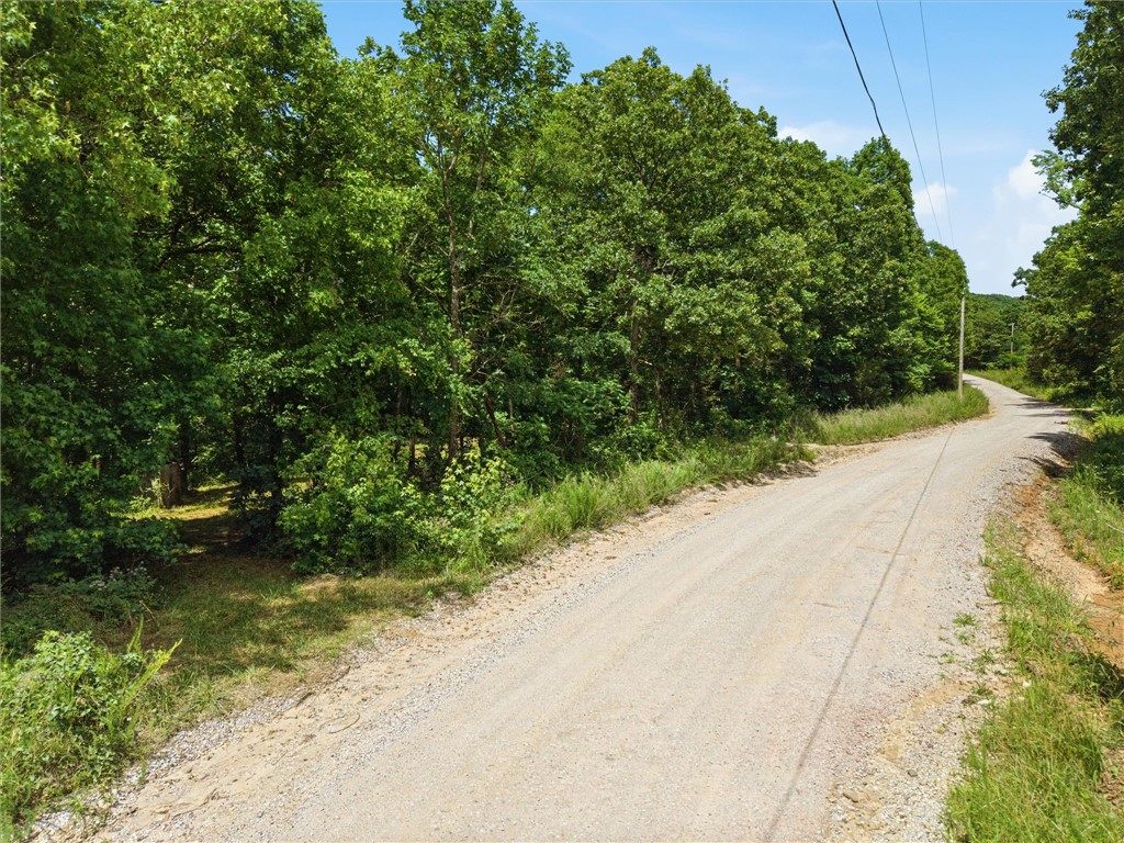 Image 19