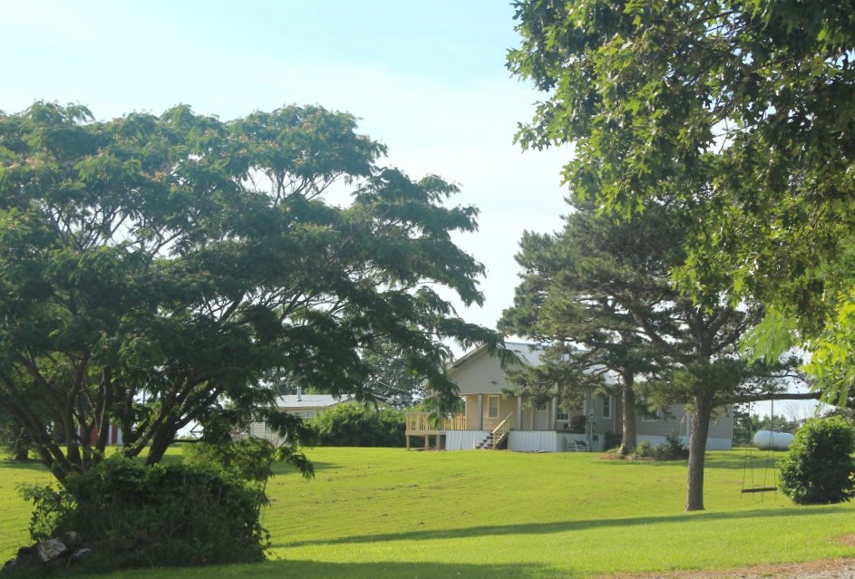 Image 11