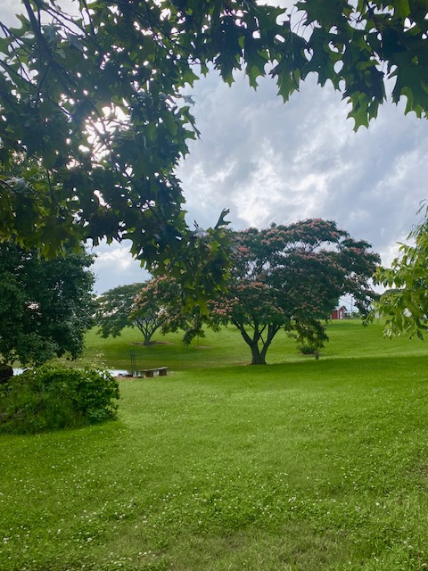 Image 15