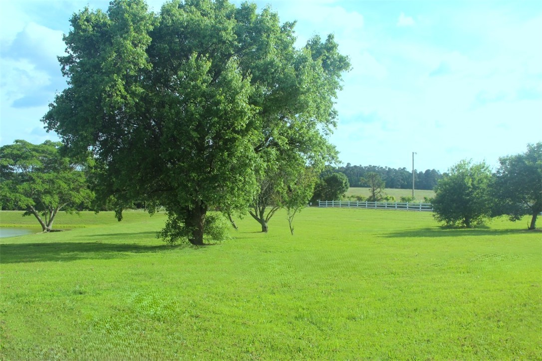Image 25