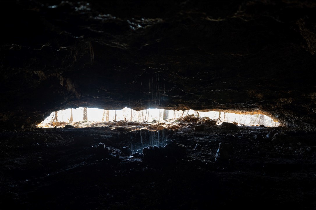 Image 11