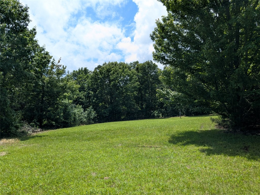Image 32