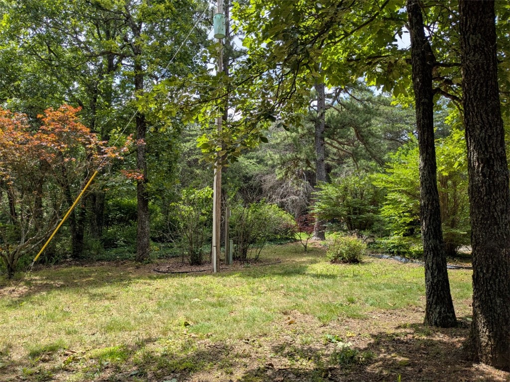 Image 45