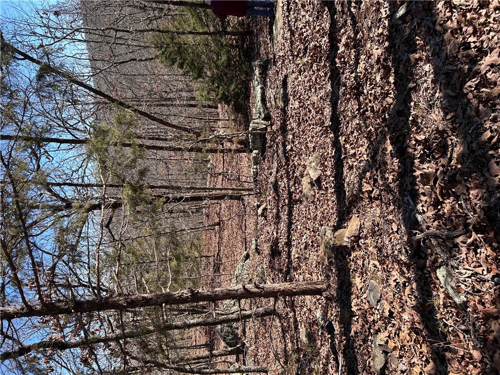 Image 13