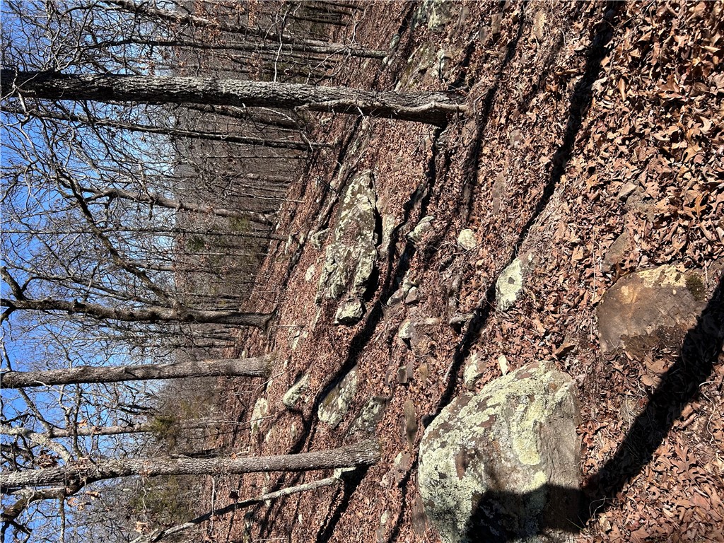 Image 14