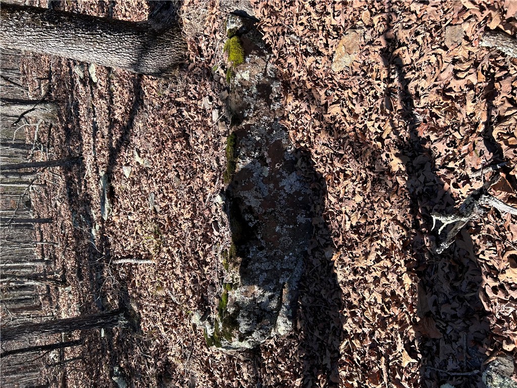 Image 18