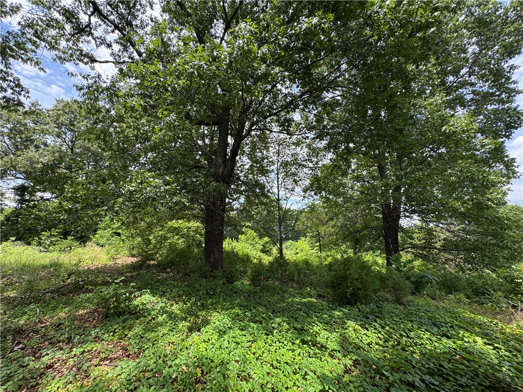 Image 22