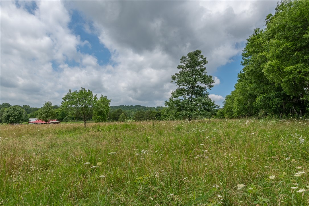 Image 23