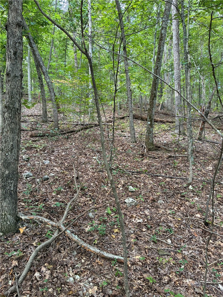 Image 25