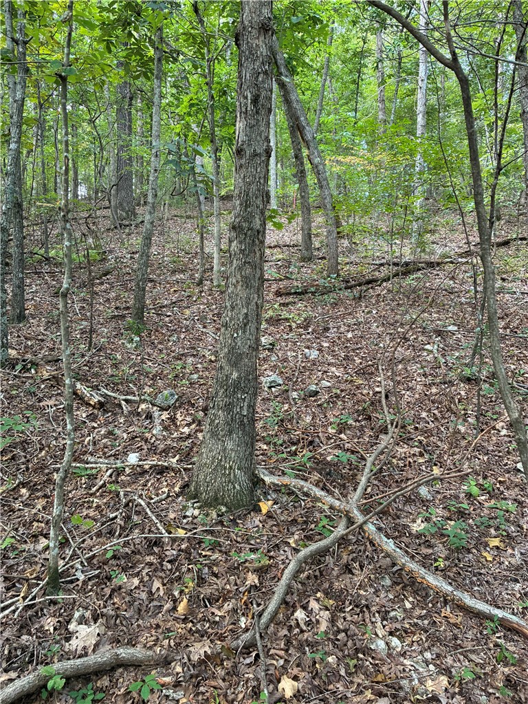 Image 26