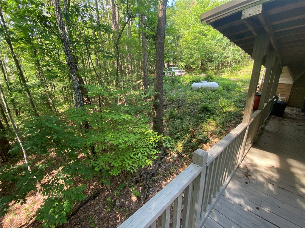 Image 19